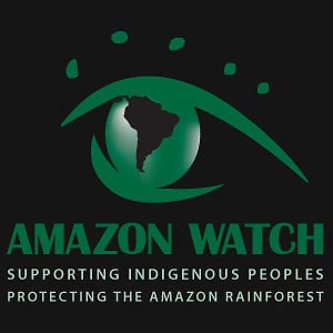 Profile picture for Amazon Watch