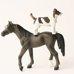 Profile picture for Dog & Pony Theatre