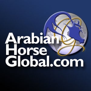 Profile picture for ArabianHorseGlobal