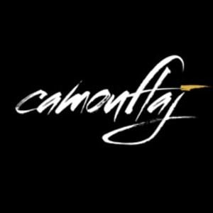 Profile picture for Camouflaj