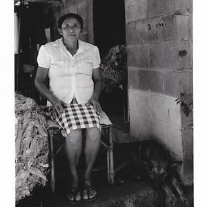 Profile picture for Mujeres de la Guerra