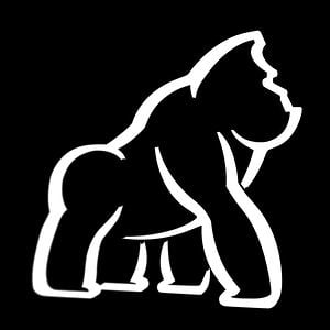 Profile picture for Baldgorilla