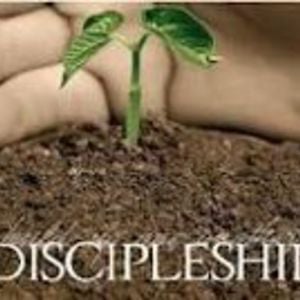 Profile picture for Christ Anglican - Asheville