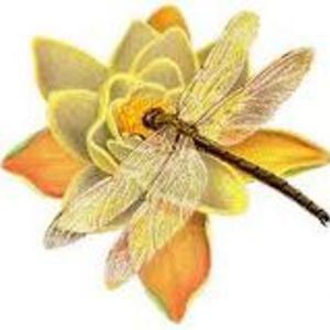 Profile picture for CDCila