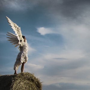 Profile picture for Fidget Feet Aerial Dance Theatre