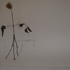 Profile picture for John Morton