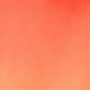 Profile picture for Rein Blank