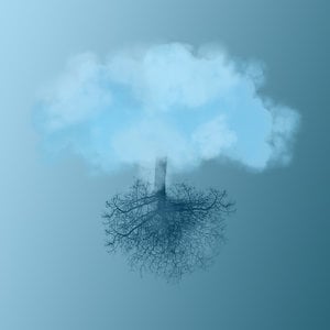 Profile picture for Michelle Gajus