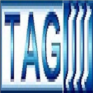Profile picture for Transaction Auditing Group (TAG)