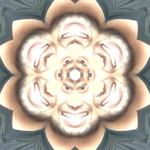 Profile picture for tison