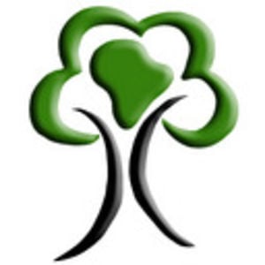 Profile picture for Mango tree