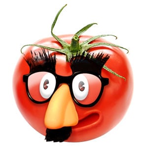 Profile picture for Thomate