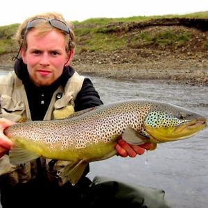 Profile picture for Snævarr Örn Georgsson