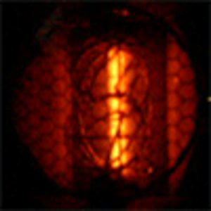 Profile picture for Raphaël Pluvinage