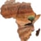 Portrait image for Africa Soil Information Service