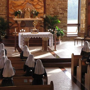 Profile picture for Franciscan Sisters, T.O.R.