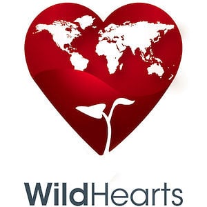 Profile picture for WildHearts