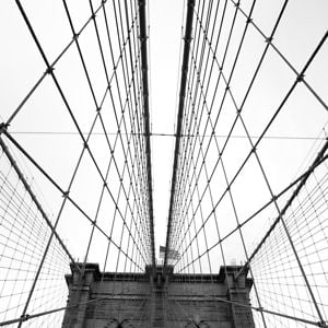 Profile picture for BLENDNEWYORK