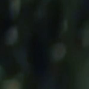 Profile picture for Georgena Terry