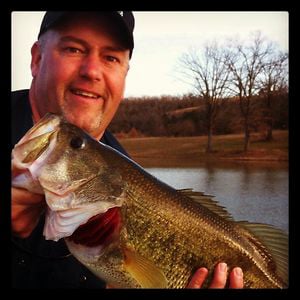 Profile picture for JasonBaggett