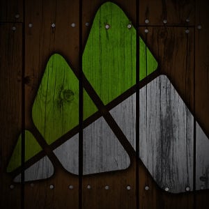 Profile picture for The Mountain Pulse