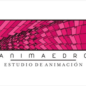Profile picture for ANIMAEDRO estudio de animación
