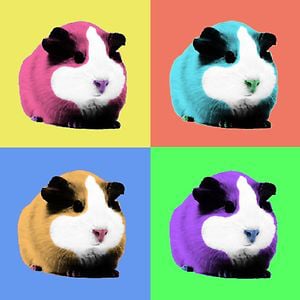 Profile picture for Cobaya Pop