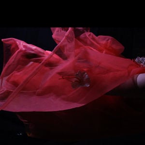 Profile picture for Sara Hibbert