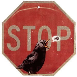 Profile picture for STREET ACTIVIST
