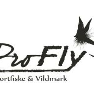 Profile picture for Pro Fly