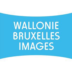 Profile picture for Wallonie Bruxelles Images