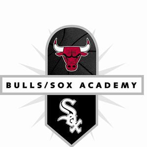 Profile picture for Bulls/Sox Academy