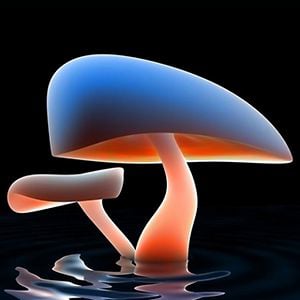 Profile picture for Colombia-Japan Laboratory