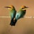 tom rayner photography