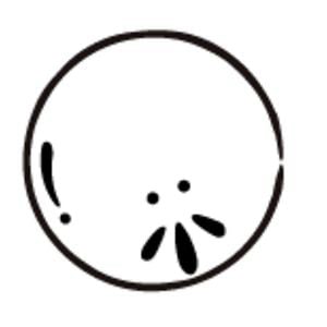Profile picture for cyan wong