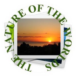 Profile picture for THE NATURE OF THE WORLDS