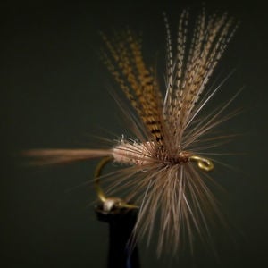 Profile picture for Shannon's Fly and Tackle