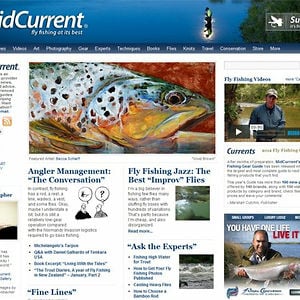 Profile picture for MidCurrent