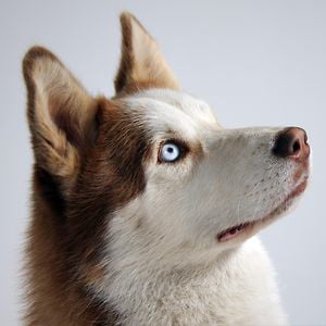 Profile picture for Enrique R. Bencomo