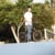 sergiobmx20