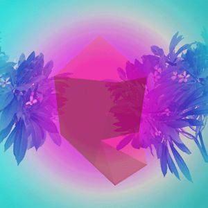 Profile picture for taylor savvy