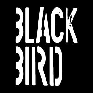 Profile picture for BLACKBIRD Film