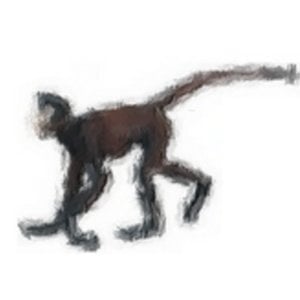 Profile picture for cajunmonkey
