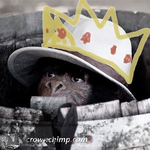 Profile picture for Crown Chimp Productions