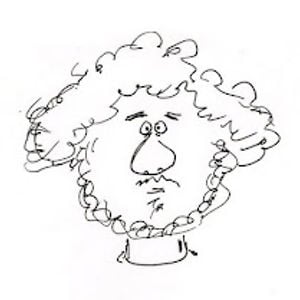Profile picture for Uri Lotan