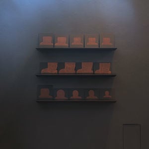 Profile picture for Toyin Odutola