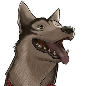 Profile picture for John Cody Kim