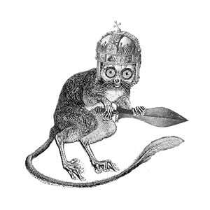 Profile picture for Martin Engelbogen