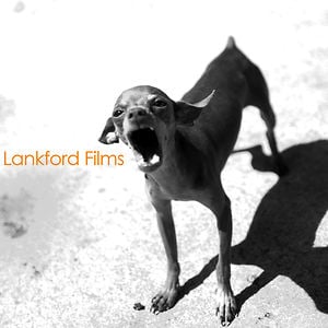 Profile picture for Gary Lankford