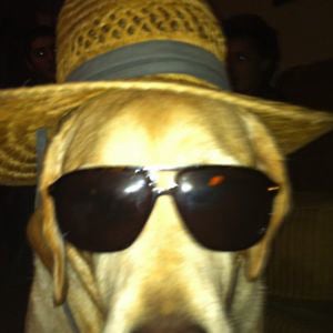 Profile picture for blink321
